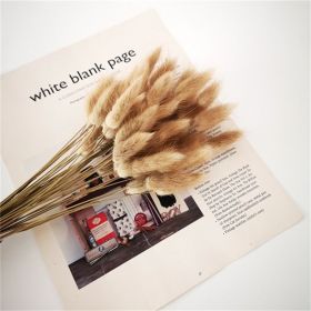 artDried Flowers Pampas Grass Mixed Bunny Rabbit Tail Lagurus Bouquet Wedding Christmas Decoration Natural Reed Flower Home Decora (Color: natural rabbit tail, size: 30pcs)
